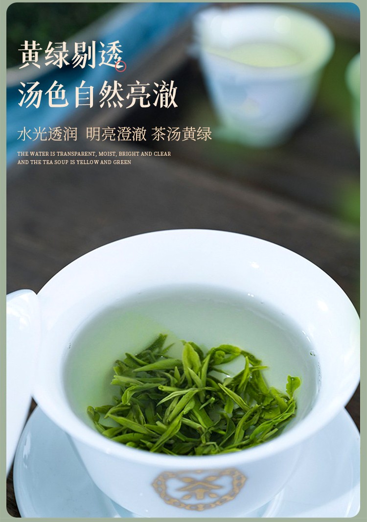 紫阳毛尖一级茶叶绿茶浓香型正宗明前2022新茶嫩芽春茶小罐装口粮茶