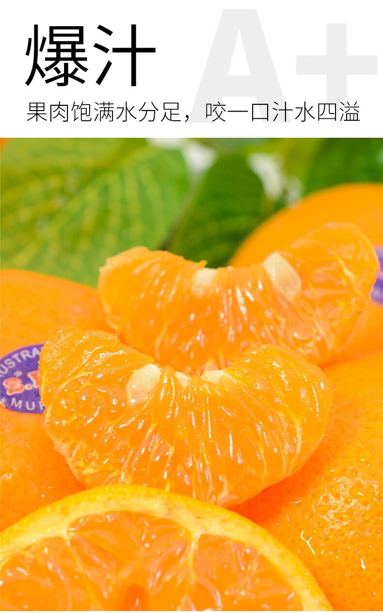 澳大利亚澳橘2ph澳柑一口爆汁橘子进口蜜桔新鲜孕妇水果 精选装3斤