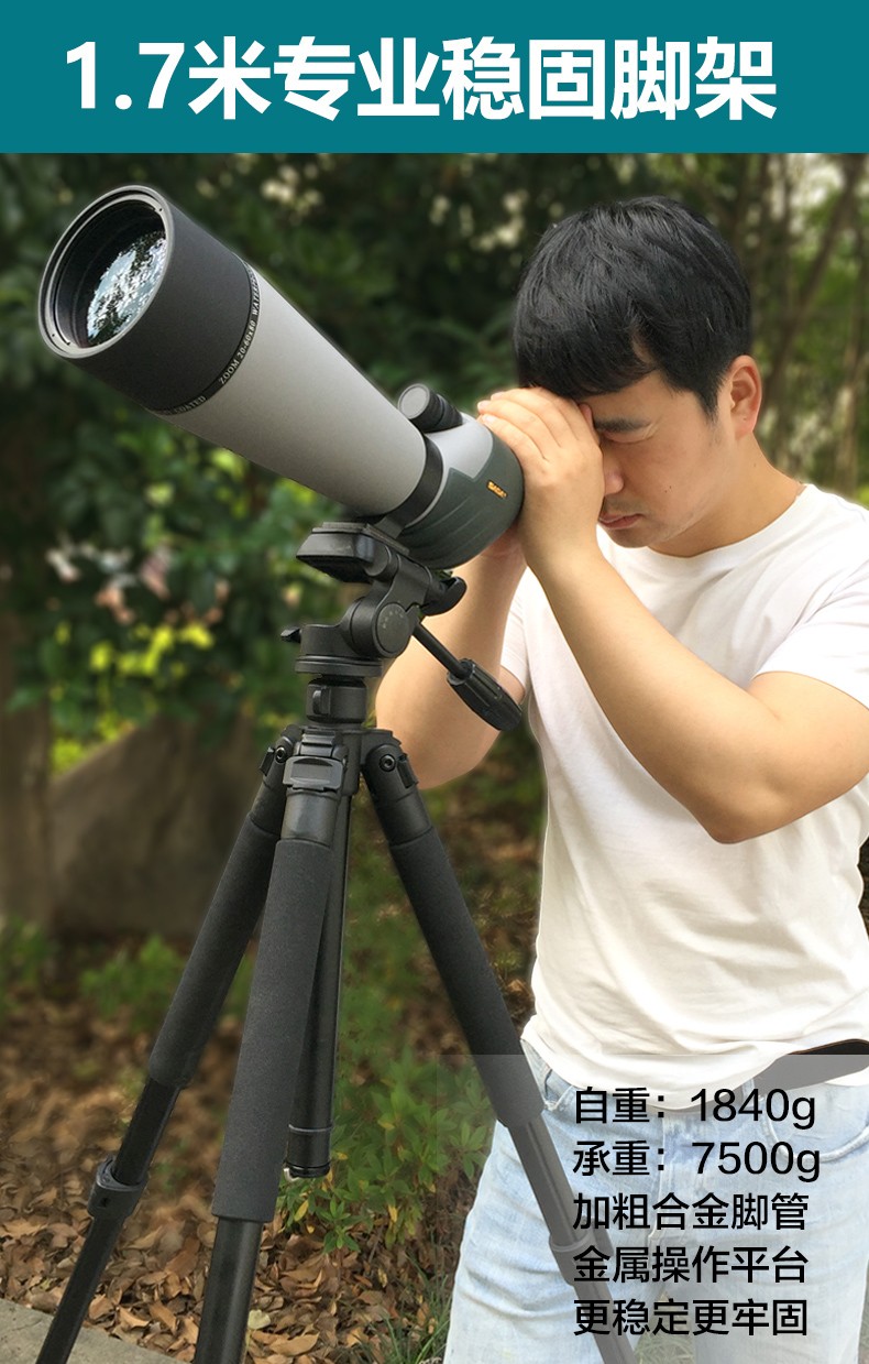 萨伽saga鸿雁单筒望远镜观鸟镜高倍高清2060变倍专业充氮防水微光夜视