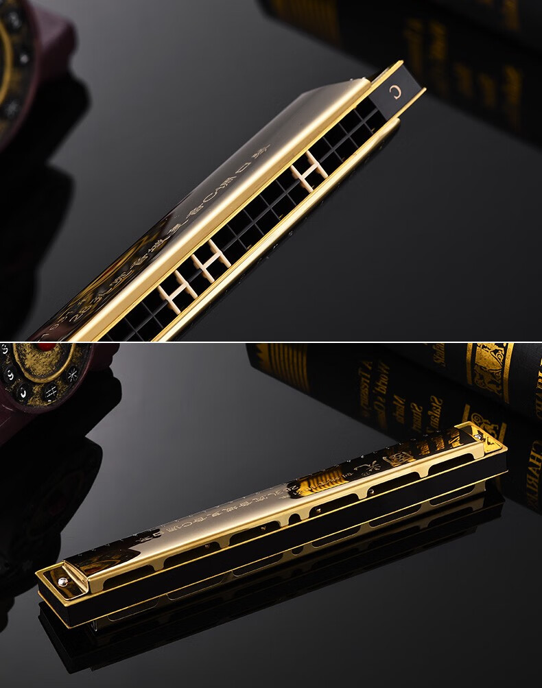 上海国光28孔复音口琴宽音域重音学生初学者成人入门演奏级乐器国光24