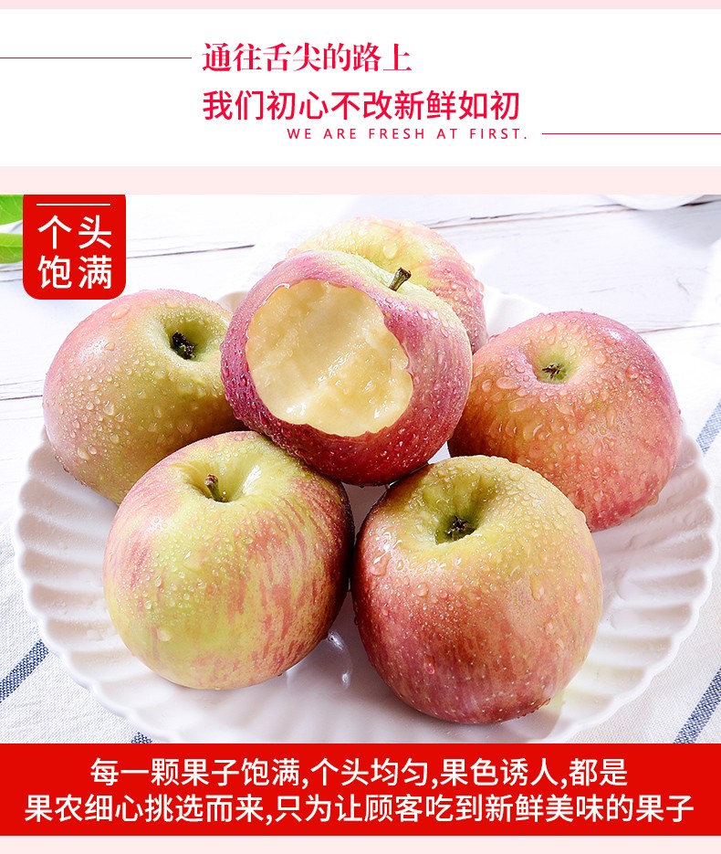 远燕顺丰现发南非牛顿迷你小苹果新鲜应季当季儿童孕妇水果老树野生丑