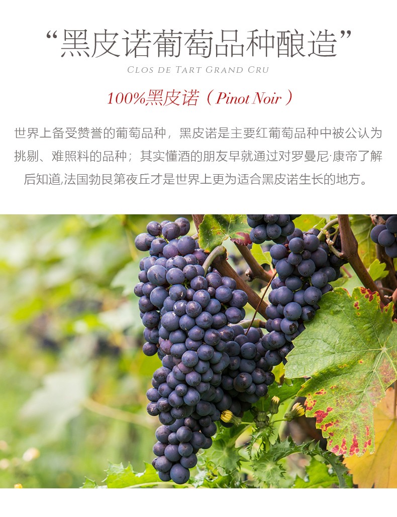 珍藏版法国原瓶进口勃艮第夜丘黑皮诺100干型红酒大德园酒庄大德园