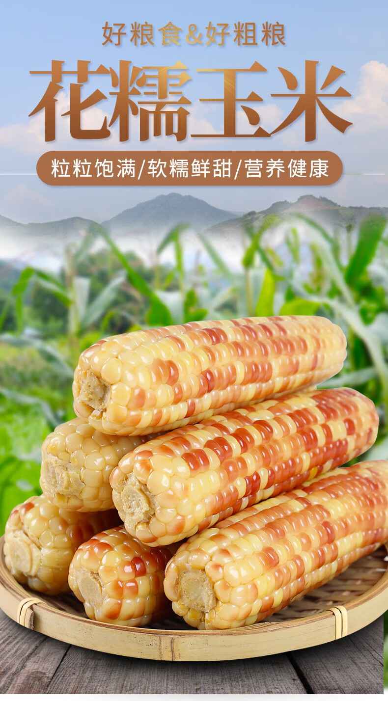 宏博701玉米品种产地图片