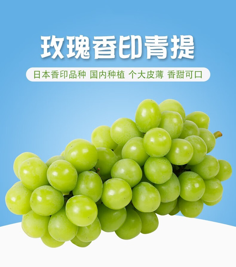 晴王葡萄 当季新鲜日本引种阳光玫瑰葡萄香印无籽青提 5斤 精选装