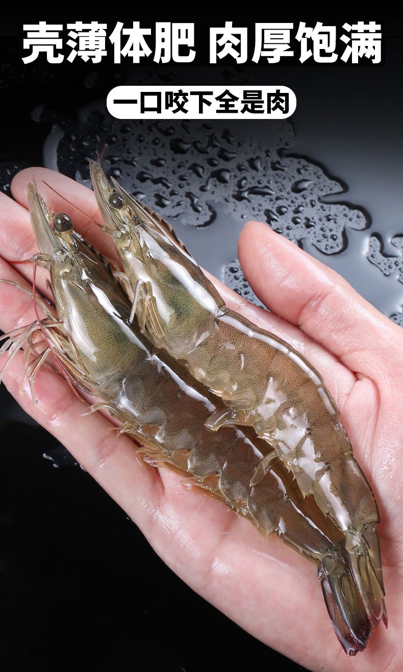 【顺丰直达】青岛大虾4斤装 青虾鲜虾海虾基围虾鲜冷冻生鲜 虾类已