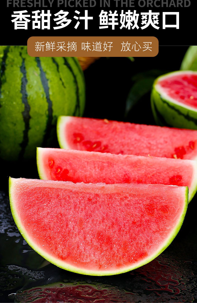 源外园8424麒麟 无籽 美都西瓜 皮薄多汁 新鲜当季水果 夏季主打款