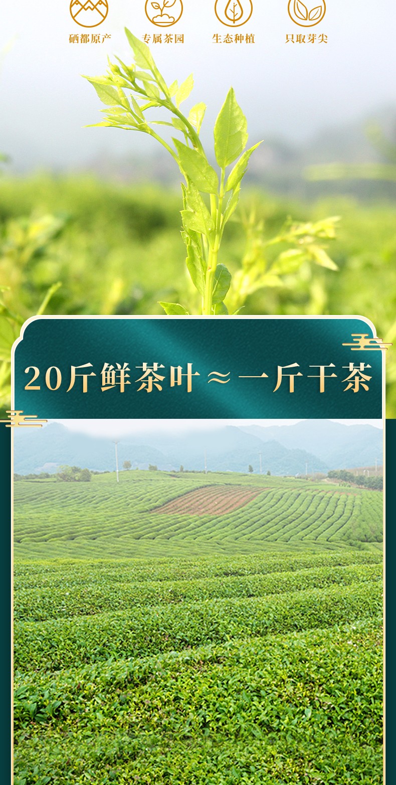 藤匠人藤茶龙须芽尖礼盒独立包装原生态土家莓茶恩施硒都天然养生茶