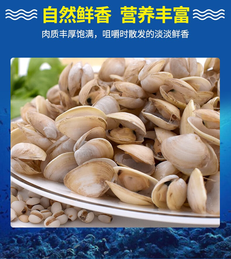 半亩庄园舟山白瓜子鲜活无沙海沙子小蛤蜊海瓜子舟山鲜活海鲜水产贝类