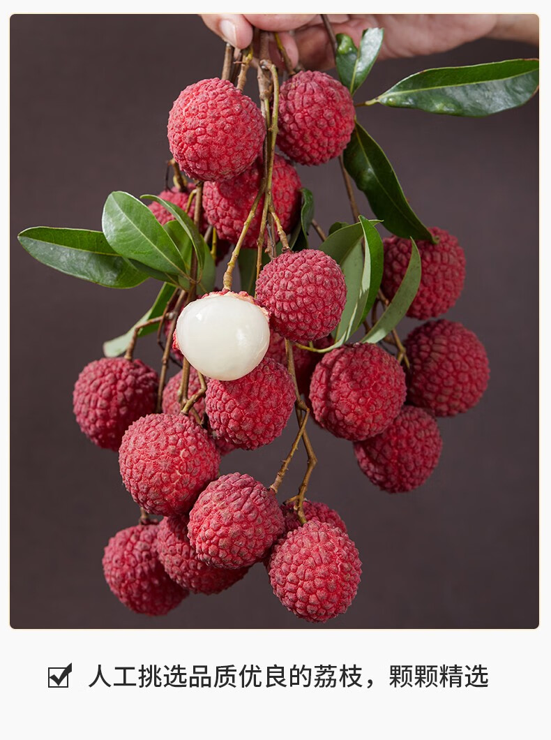 广东增城红绣球荔枝 新鲜5斤现摘现发孕妇水果整箱果