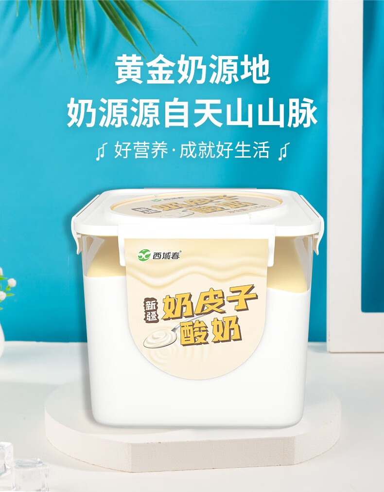 西域春新品新疆奶皮子酸奶1000克大桶家庭装低温营养全脂酸牛奶含钙生
