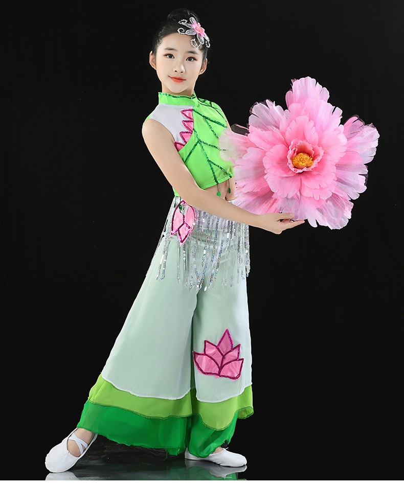 夏尔维纳chanvenuel俏江南六一儿童舞蹈演出服女童小荷风采古典舞江南