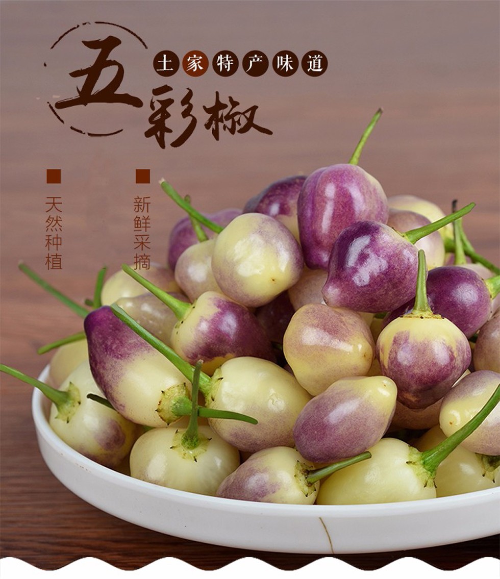 采缇 新鲜七彩椒辣椒 广西特产五彩椒灯笼椒泡椒 1斤 混装中小果