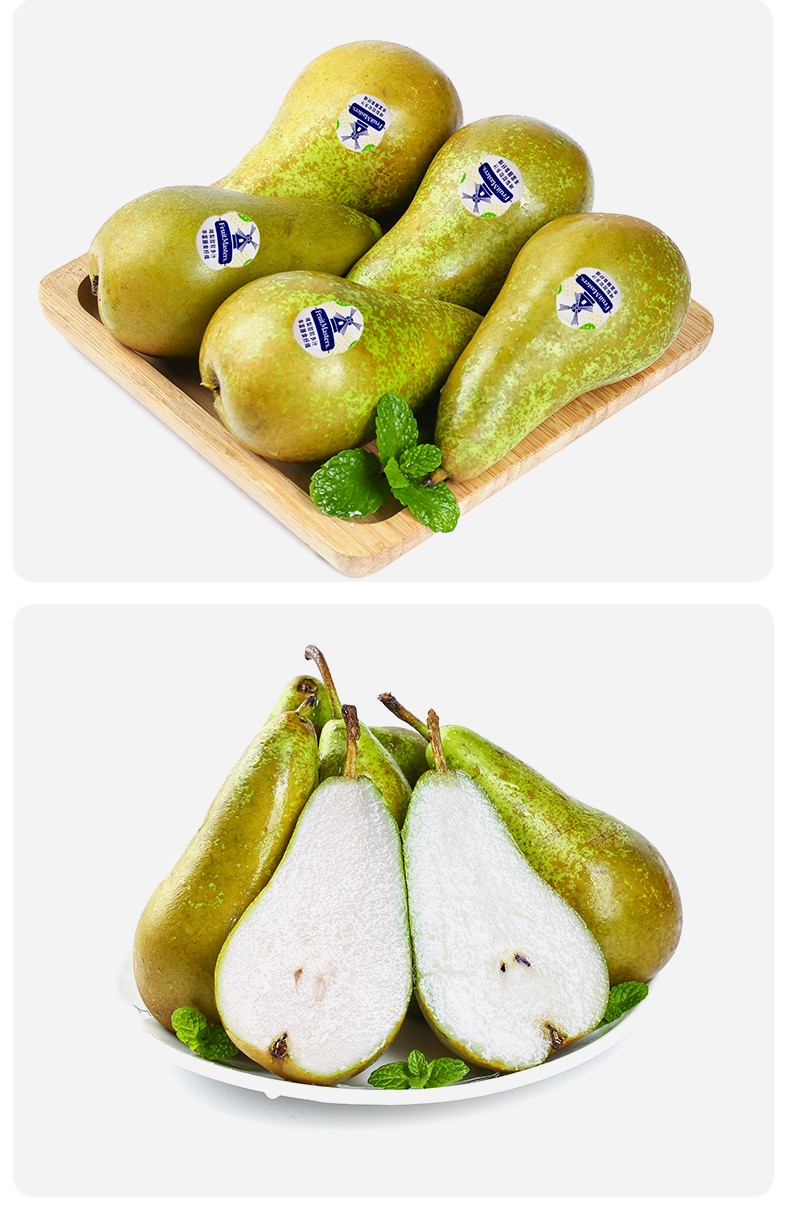 啤梨软糯香甜宝宝水果荷兰青梨当季新鲜水果五斤装