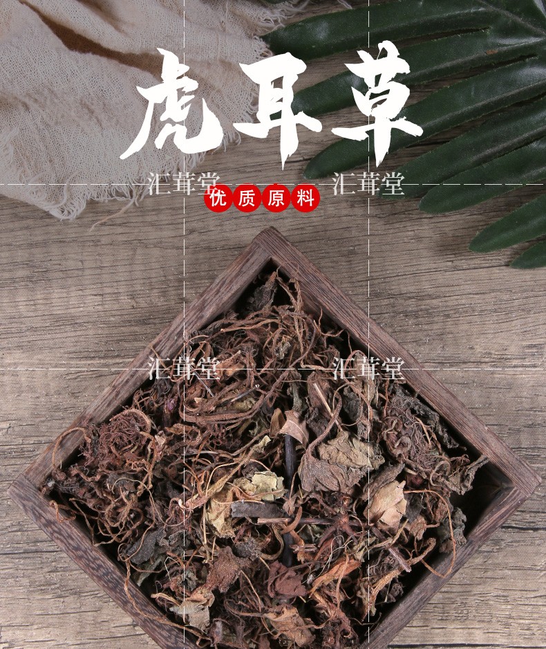 [huirongtang]筛选虎耳草中药材 石荷叶金线吊芙蓉老虎耳中药材耳朵红