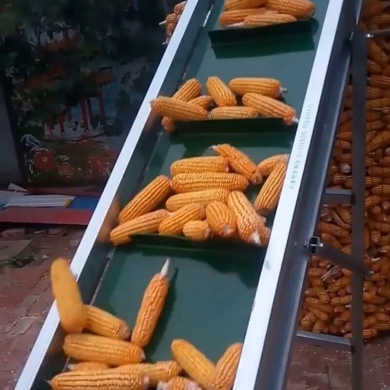 玉米输送家用小型粮食传送带流水线式可折叠玉米传送机整套带裙边棒子