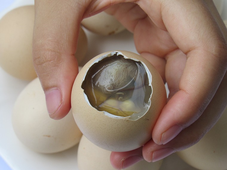 【jd物流】小憨哇苏北农家草鸡蛋活珠子 新鲜13天鸡胚 正宗土鸡胚蛋旺