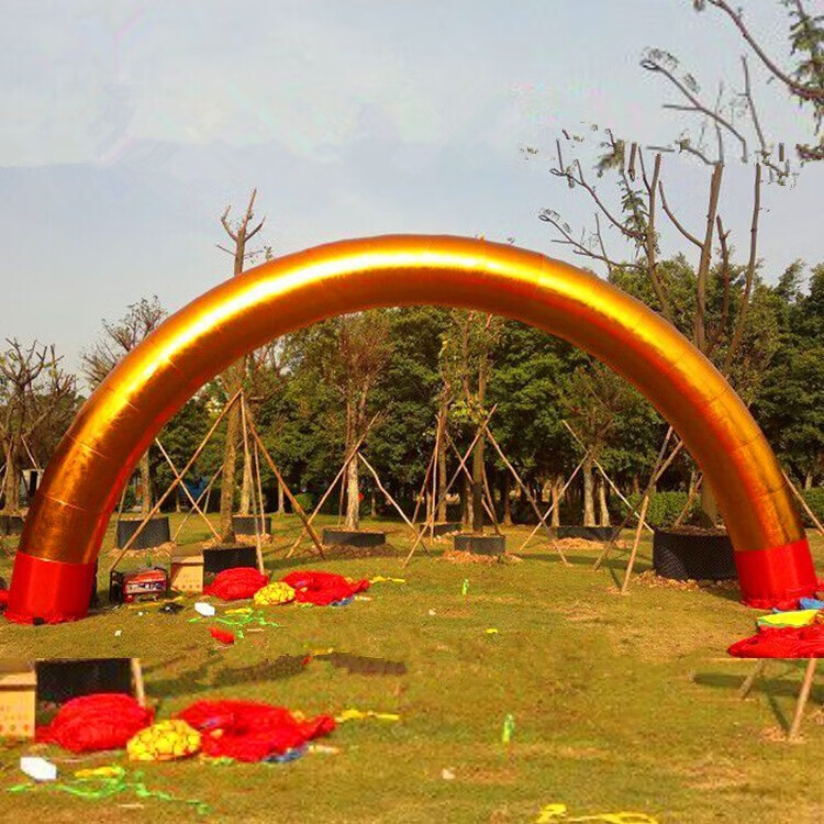 泰瑞格 新款充气金色盘龙门厅婚庆拱门凤彩虹门广告模型婚庆道具 8米