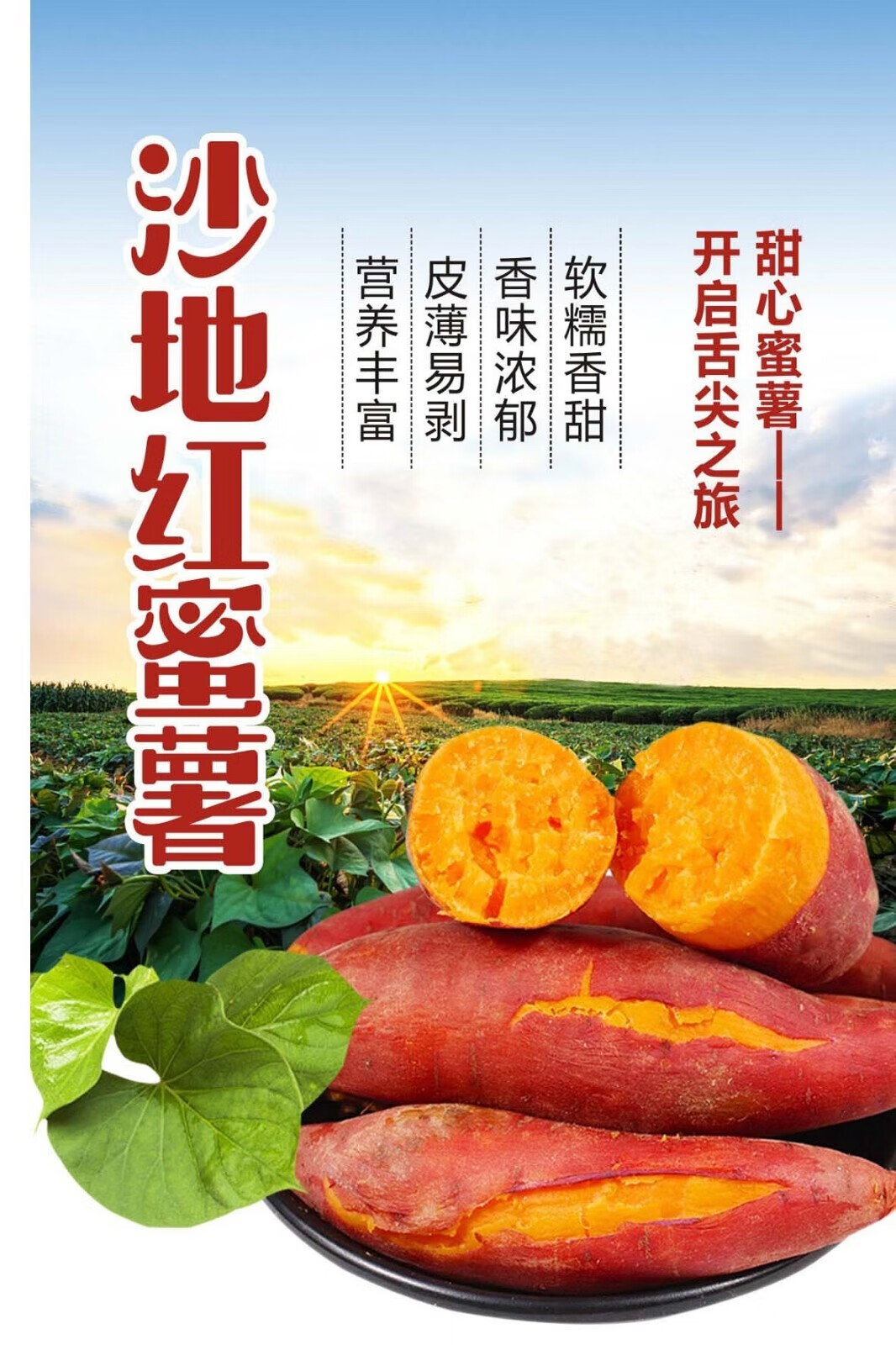 简装特产品类:秦都红薯烹饪建议:蒸菜,烧烤品种:烟薯货号:红薯商品