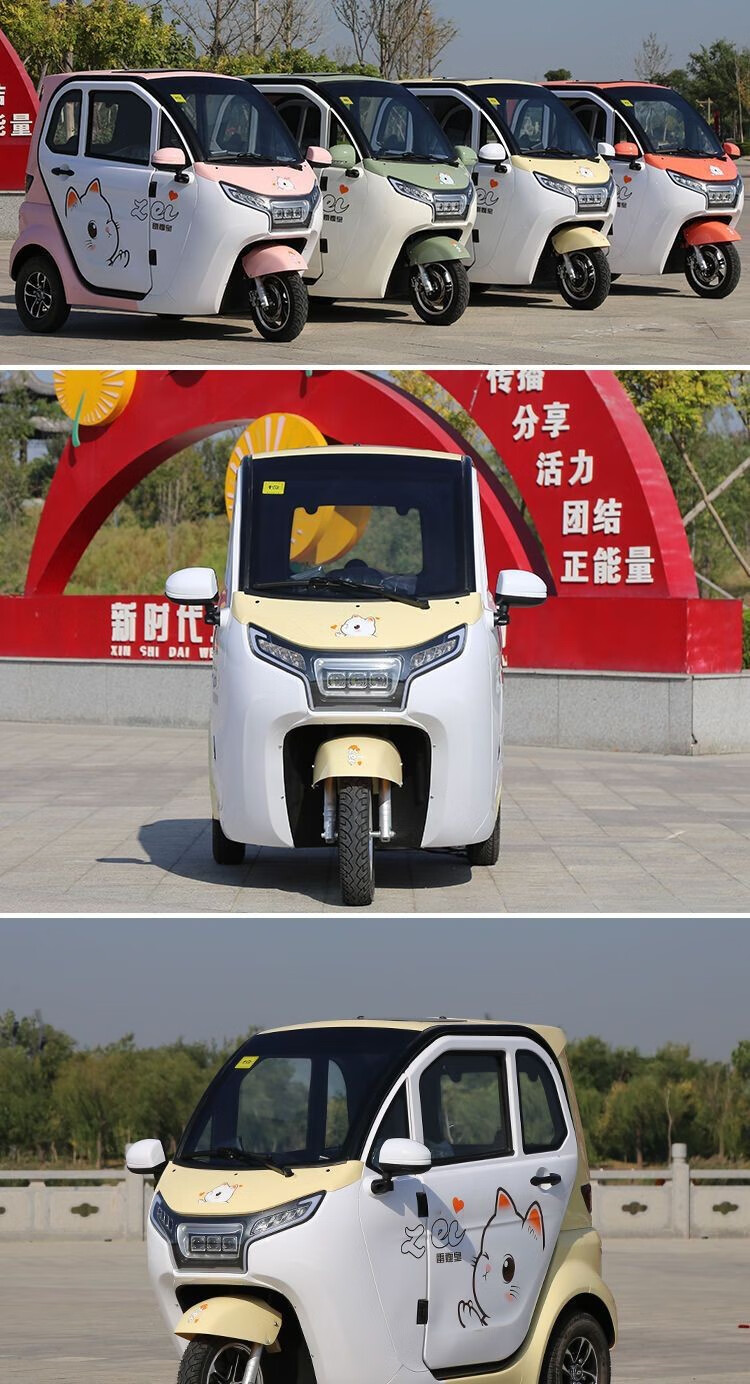 雷霆皇新款q6高配电动三轮车全封闭式车家用代步车国标可上牌 60伏60