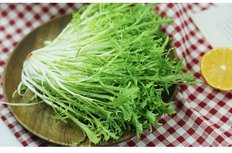 苦菊新鲜苦细叶生菜狗牙菜苦苣西餐蔬菜沙拉食材2斤3斤装