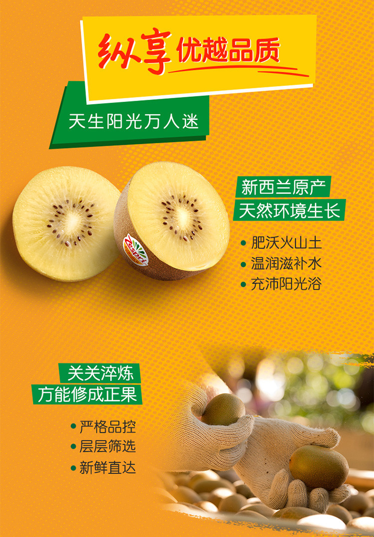 zespri新西兰佳沛黄金奇异果佳沛金果进口黄肉猕猴桃 佳沛金果12个单