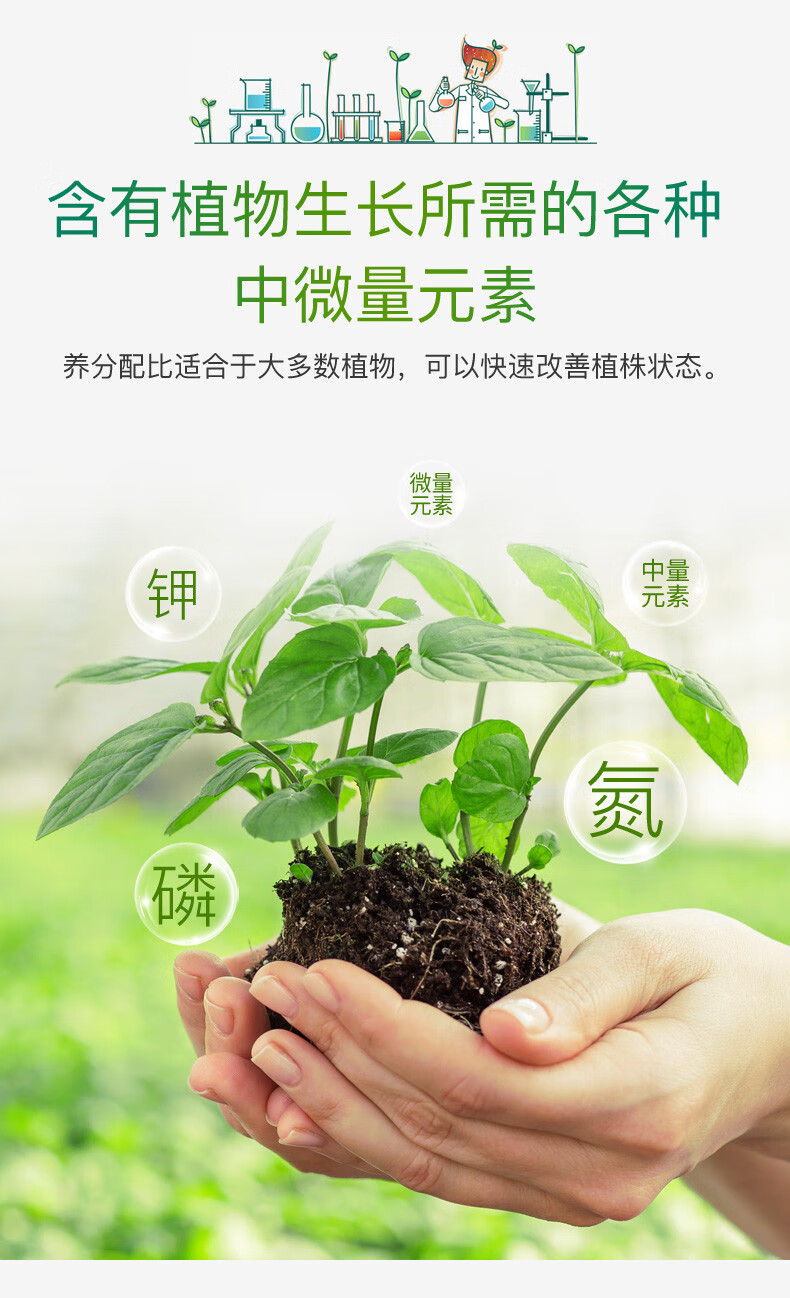 花草鲜花巴西木发财树富贵竹绿萝水培绿植营养液绿叶型600ml毫升4瓶