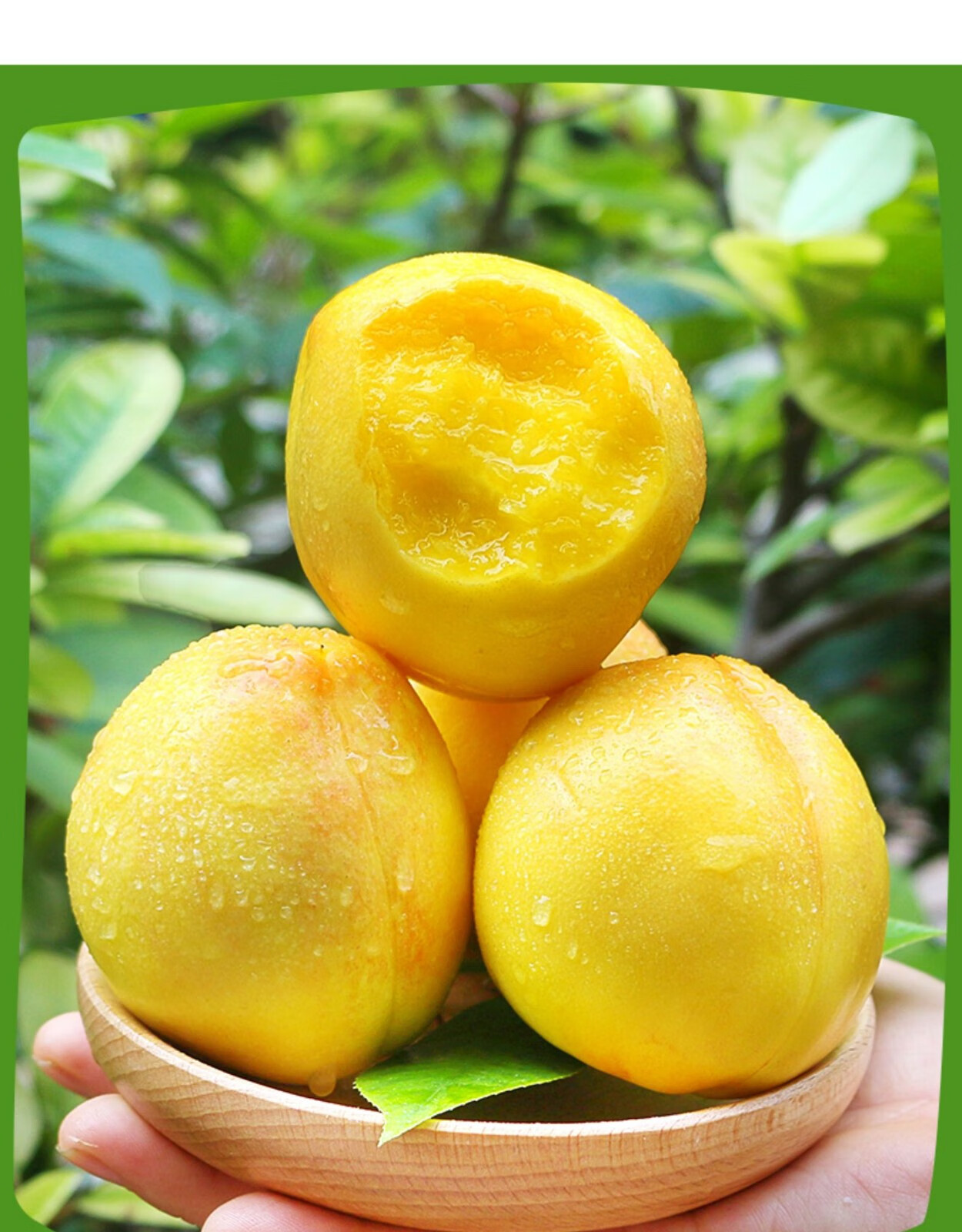 黄金桃新鲜水果黄心肉当季整箱脆甜多汁现摘现发 精选大果一斤装