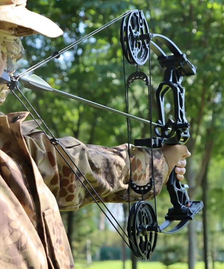 d&q弓箭两用复合滑轮弓成人弓箭射箭钢珠球复合机械短弓户外射击健身