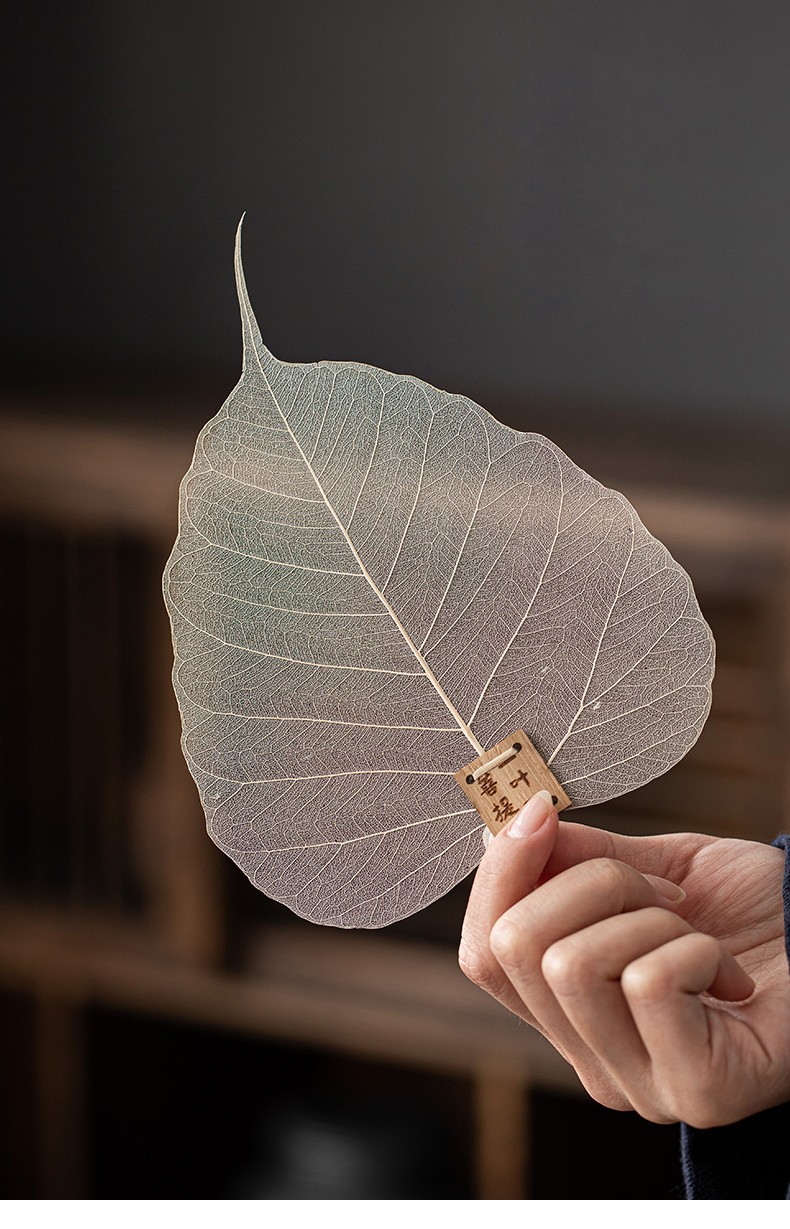 京橘便捷旅行菩提叶片茶漏创意禅意功夫茶具网滤配件纯生树叶茶滤茶道