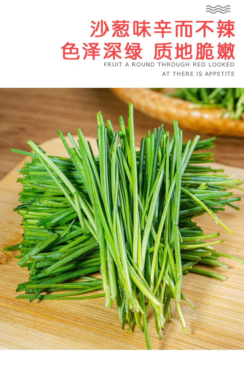 沙葱甘肃民勤保鲜现货沙葱新鲜现摘新鲜蔬菜保温箱装 2斤(净重)【图片