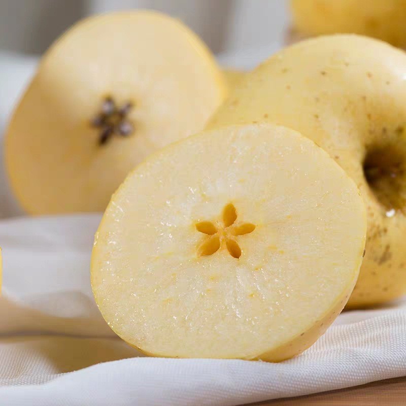 黄金奶油苹果富士苹果黄苹果黄元帅奶油水果浅黄色大果69个