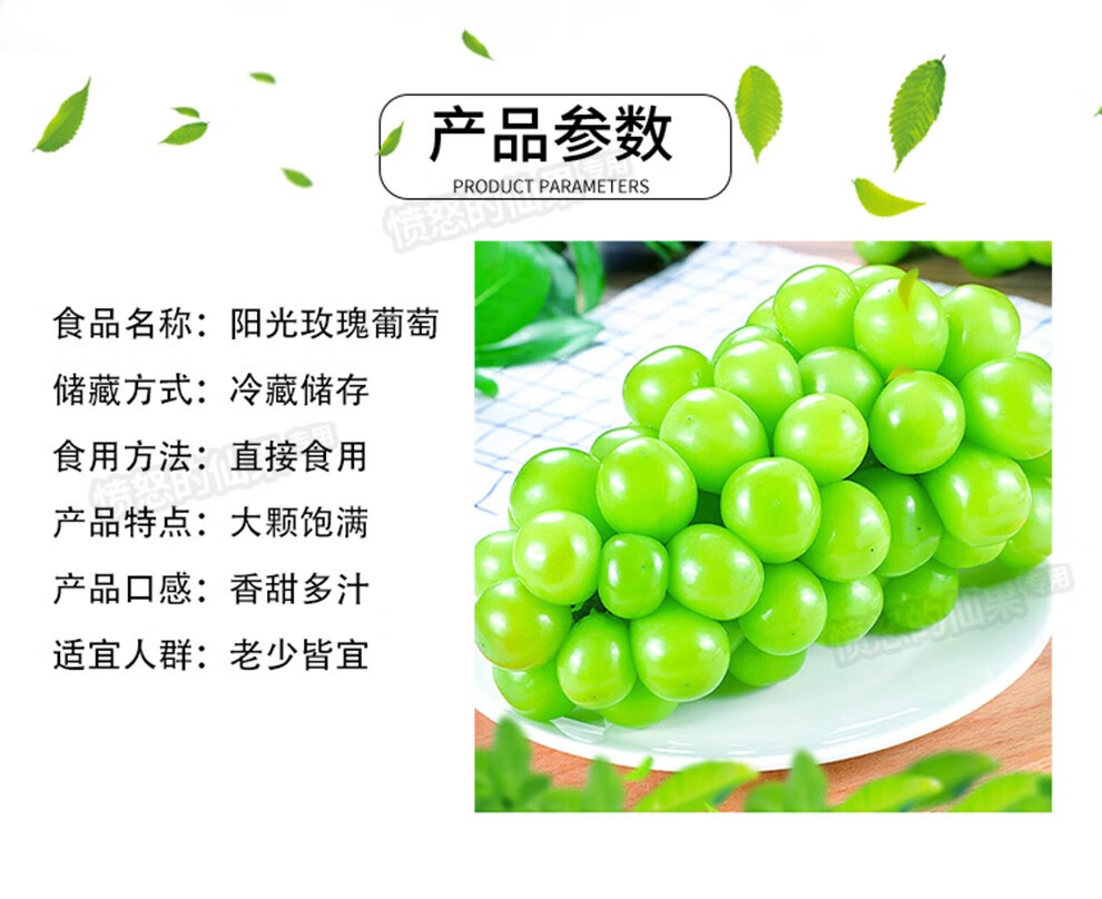 阳光玫瑰晴王葡萄当季新鲜水果爆甜精选无籽提子孕妇生鲜礼盒装顺丰