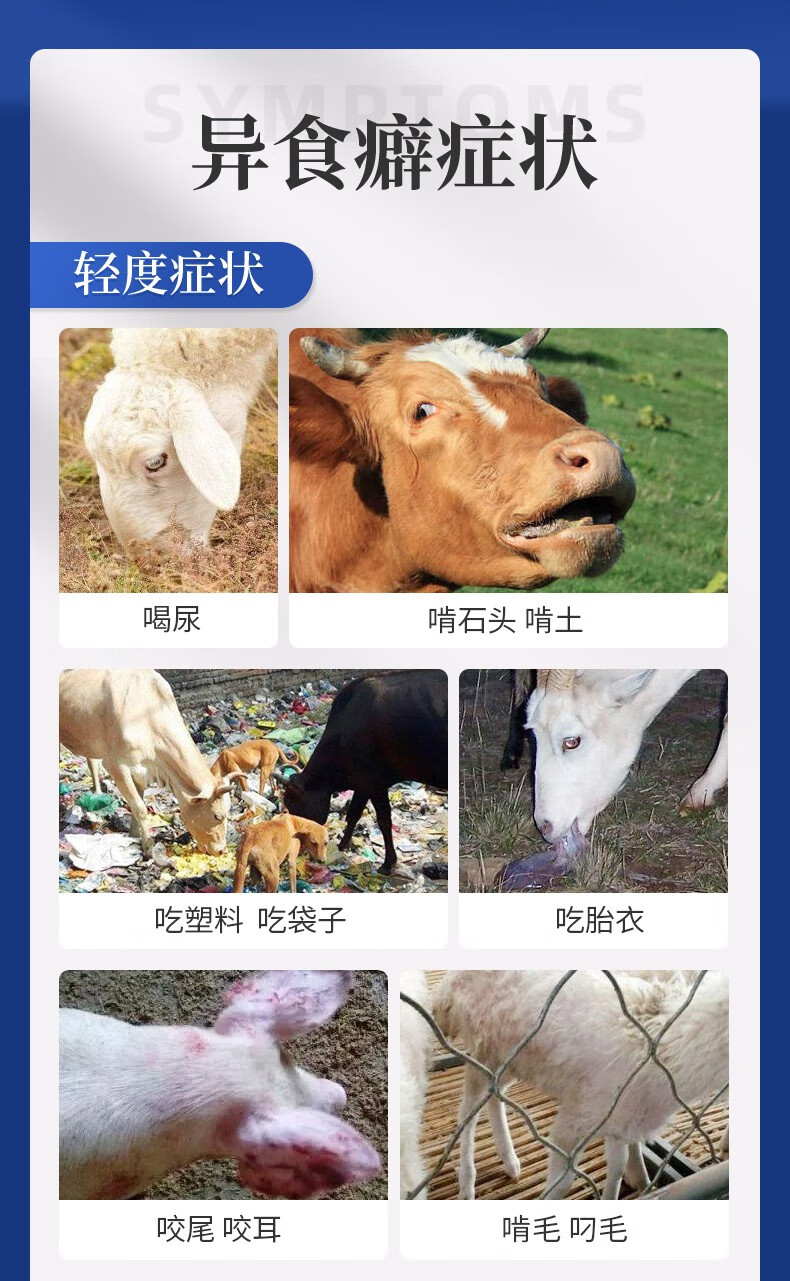 华畜 兽用牛羊异食癖高钙多维食欲不振消化不良全能速补异食灵猪啃土