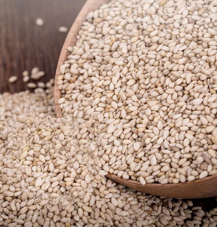 李锦记纯香芝麻油调味料凉拌菜火锅调味品蘸料压榨香麻 李锦记纯香芝