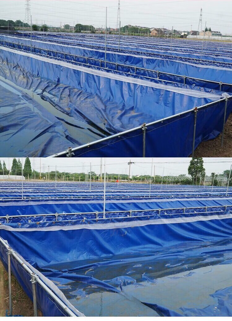 帆布鱼池养鱼水池加厚防水布刀刮布大型蓄水池简易水产养殖水箱加厚款