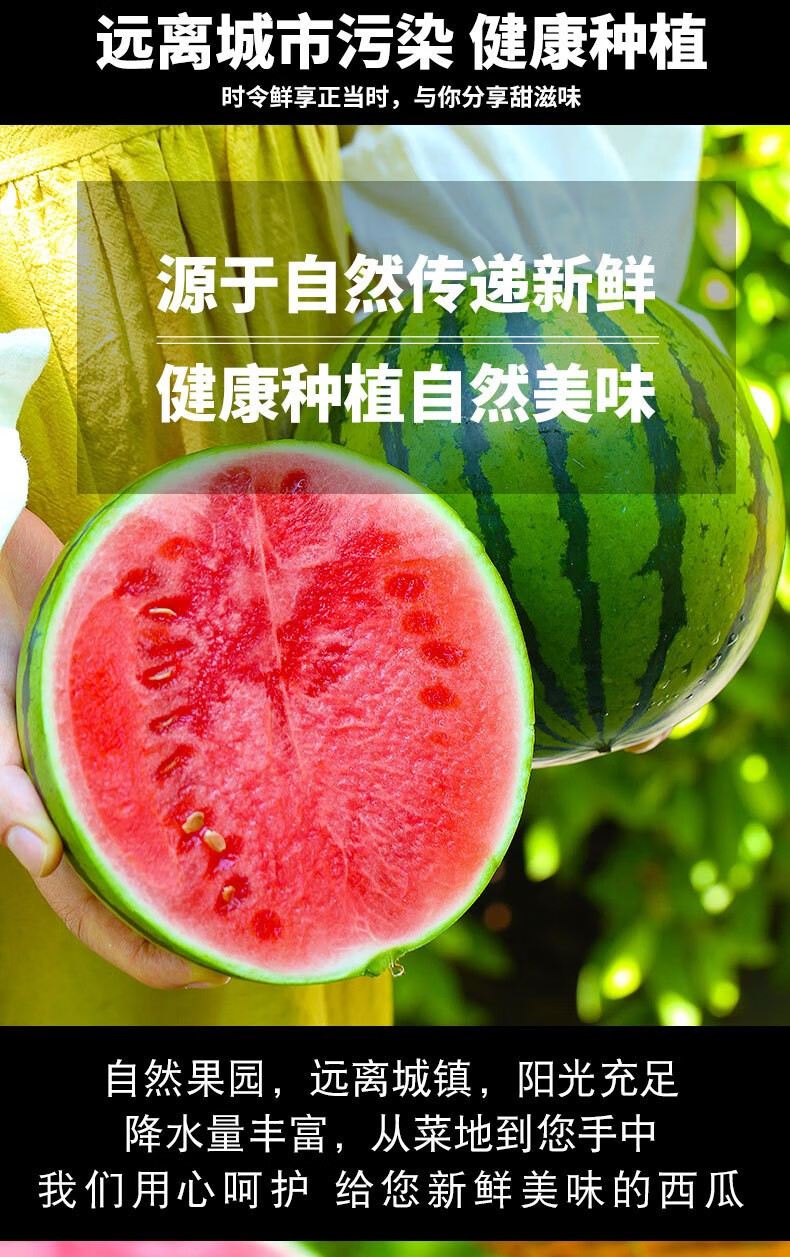 源外园8424麒麟 无籽 美都西瓜 皮薄多汁 新鲜当季水果 夏季主打款 84