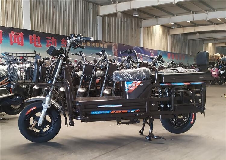 路霸载重王电动车72v拉货电瓶车大力神电摩长跑王送外卖快递两轮送货