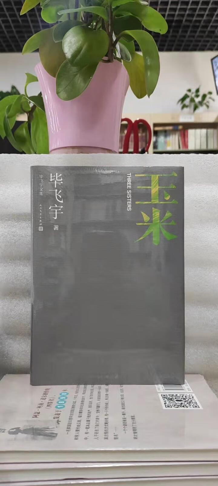 毕飞宇文集套装共11册小说课推拿玉米青衣上海往事相爱的日子雨天的