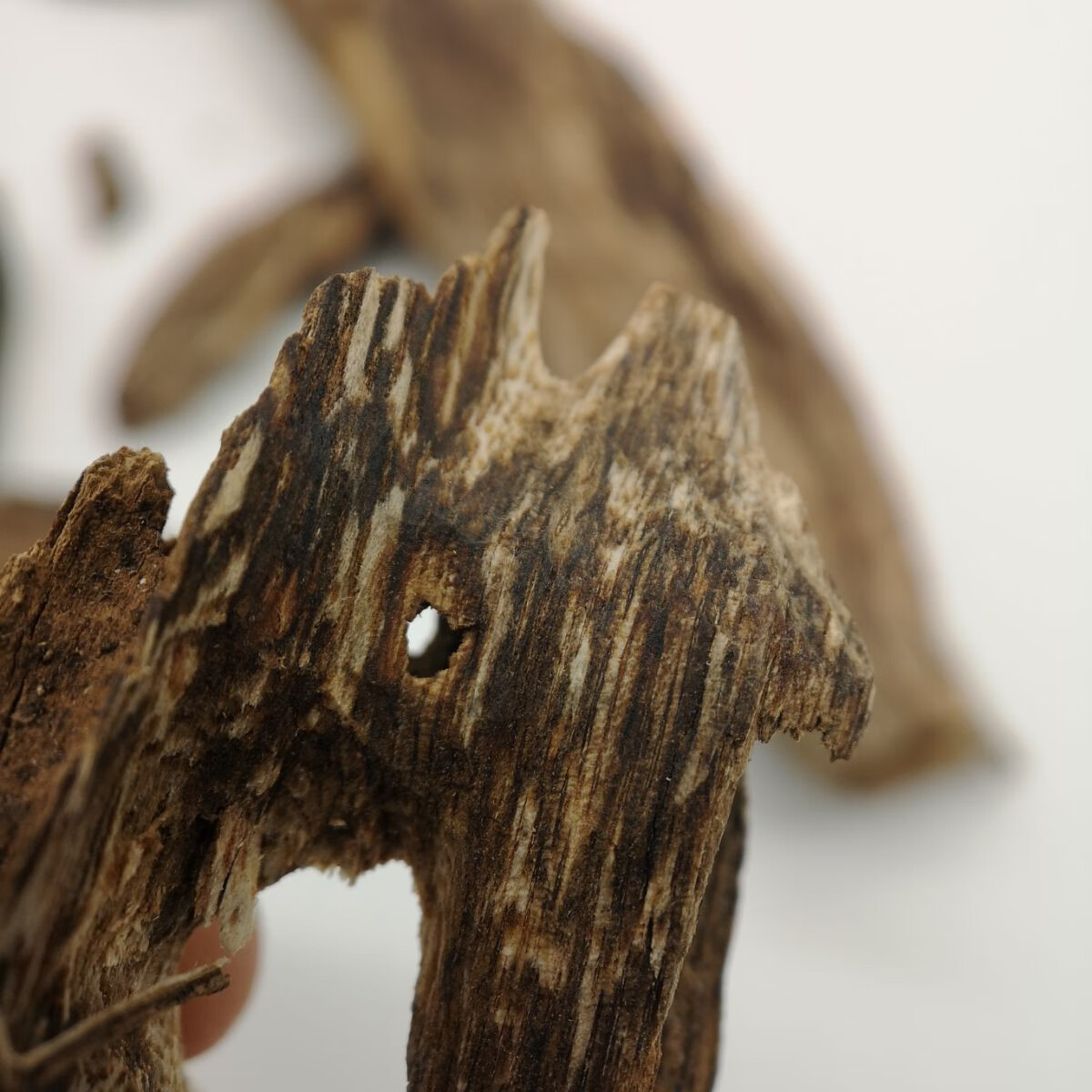 海南虫漏沉香原材摆件 半黑油天然沉香虫眼 沉香蚁漏沉香木料香熏 268