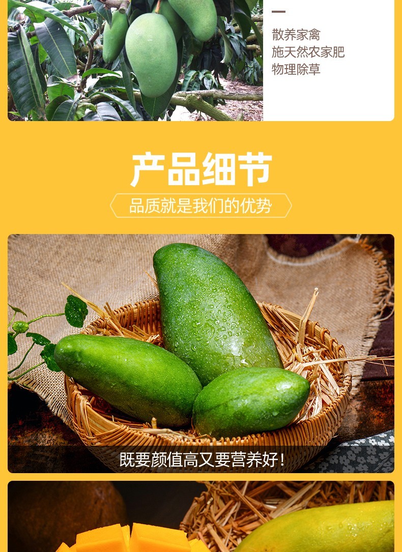 海南金煌芒果水仙芒新鲜热带水果当季特大甜心芒玉芒整箱金煌芒250g