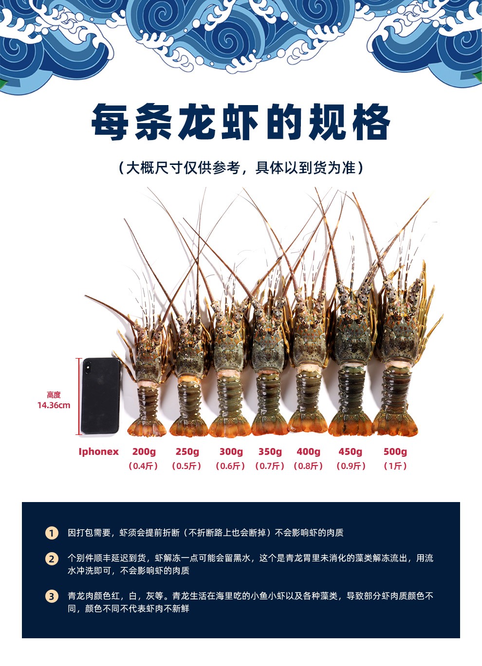 嘉麟乐大龙虾小青龙虾龙虾海鲜水产鲜活速冻大虾海鲜烧烤食材大青龙虾