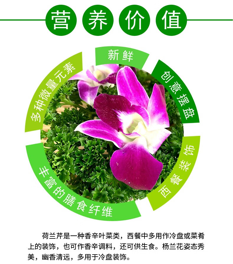 顺丰新鲜杨兰花荷兰芹法香洋兰花组合酒店火锅摆盘装饰材料新鲜杨兰花