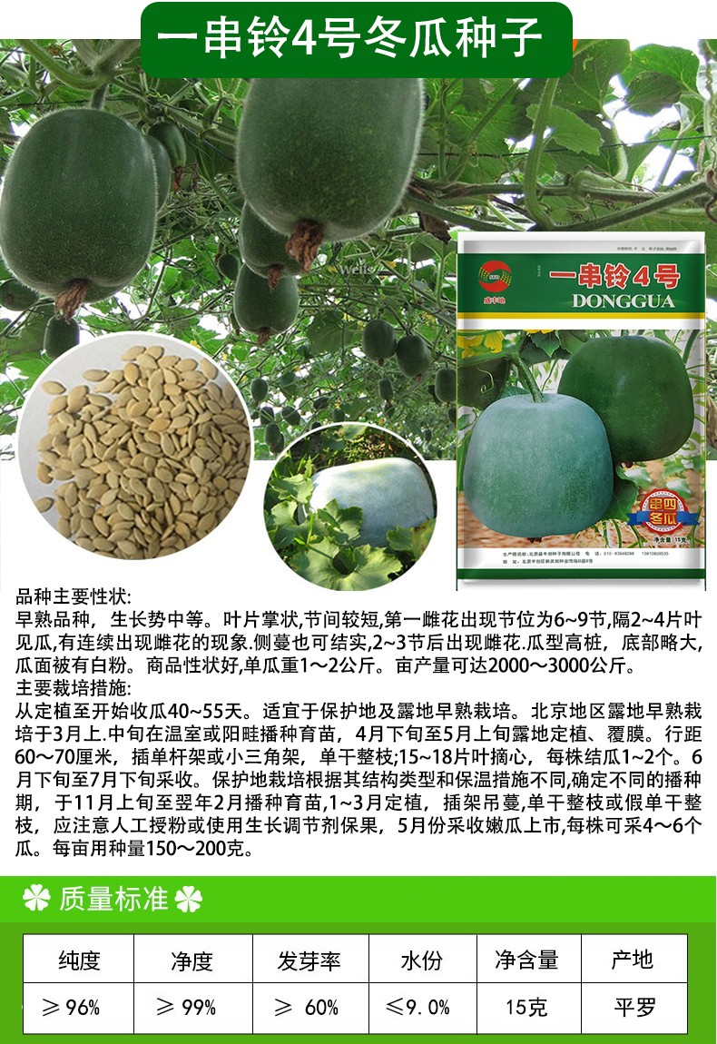 种子春秋季大冬瓜种籽阳台盆栽大田菜种子盆栽水果种子菜种子春季菜籽