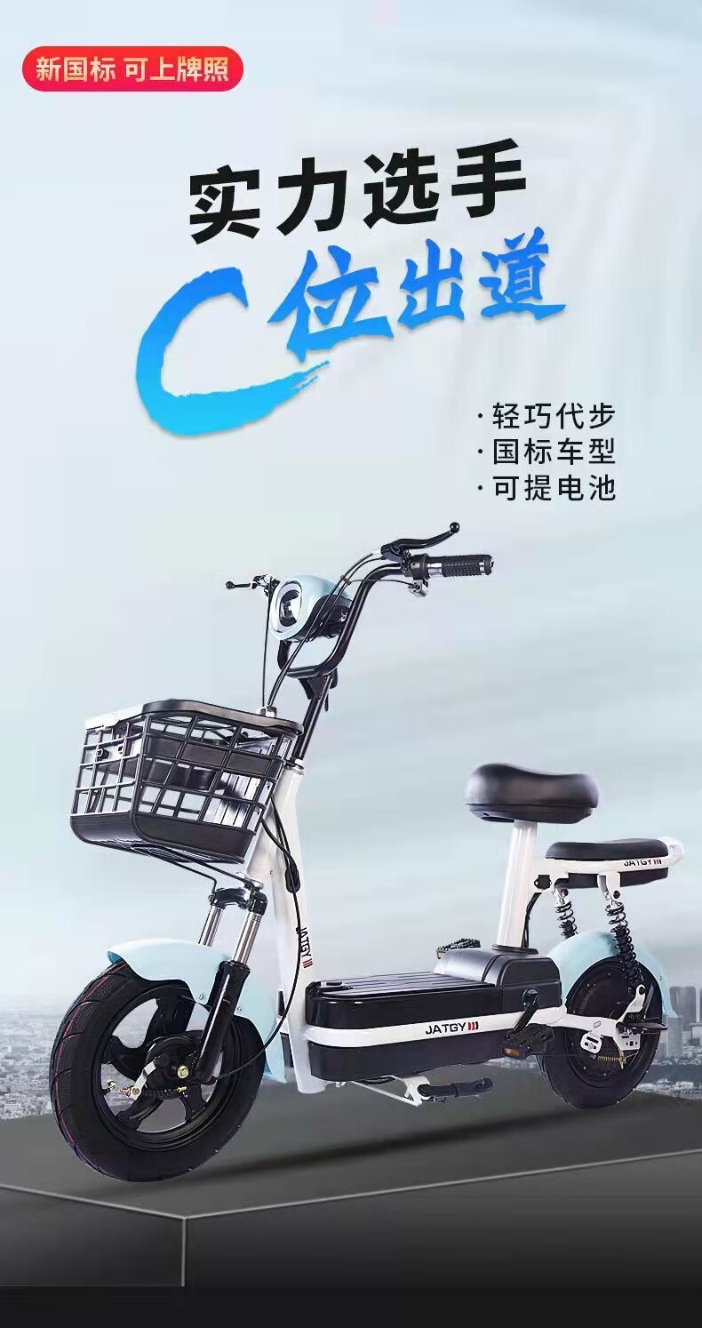 国标电动自行车轻便两轮电动车成人48v电瓶车小型学生款代步车 酒红色