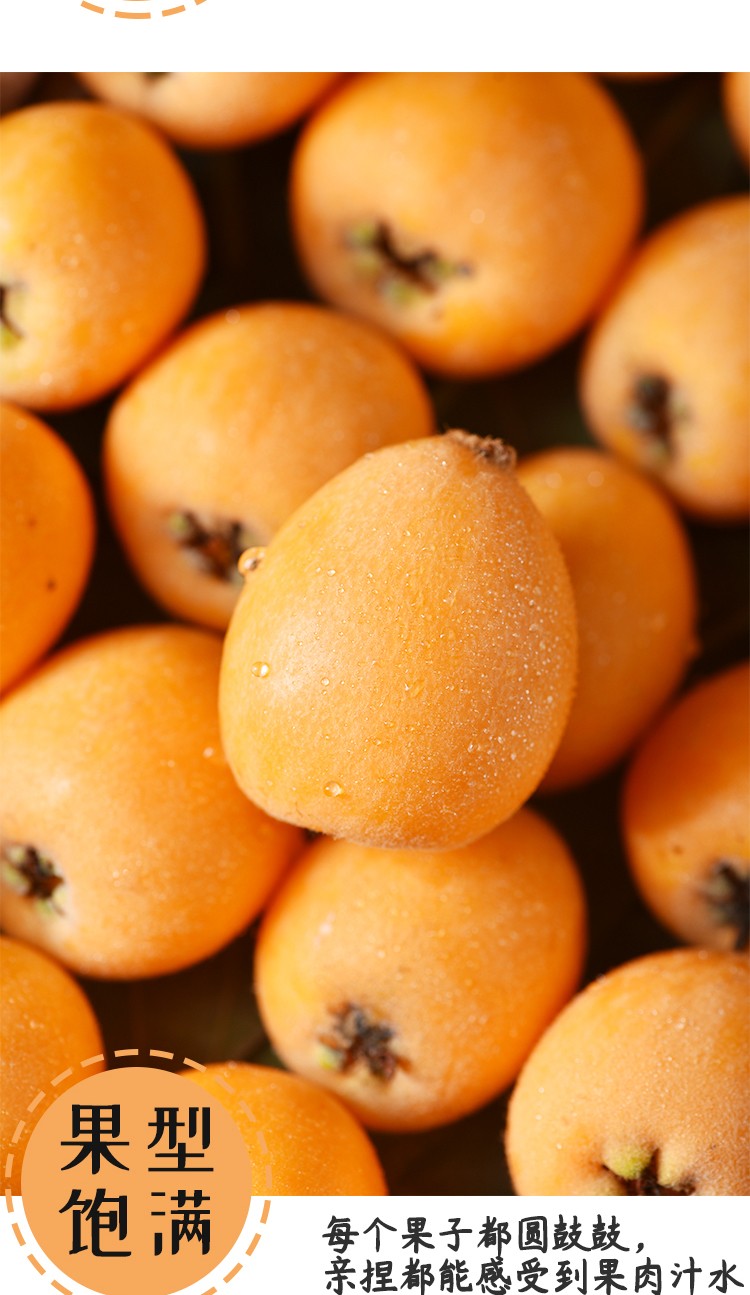 新鲜枇杷水果应季鲜果 新鲜水果 3斤中果 20-30g【图片 价格 品牌