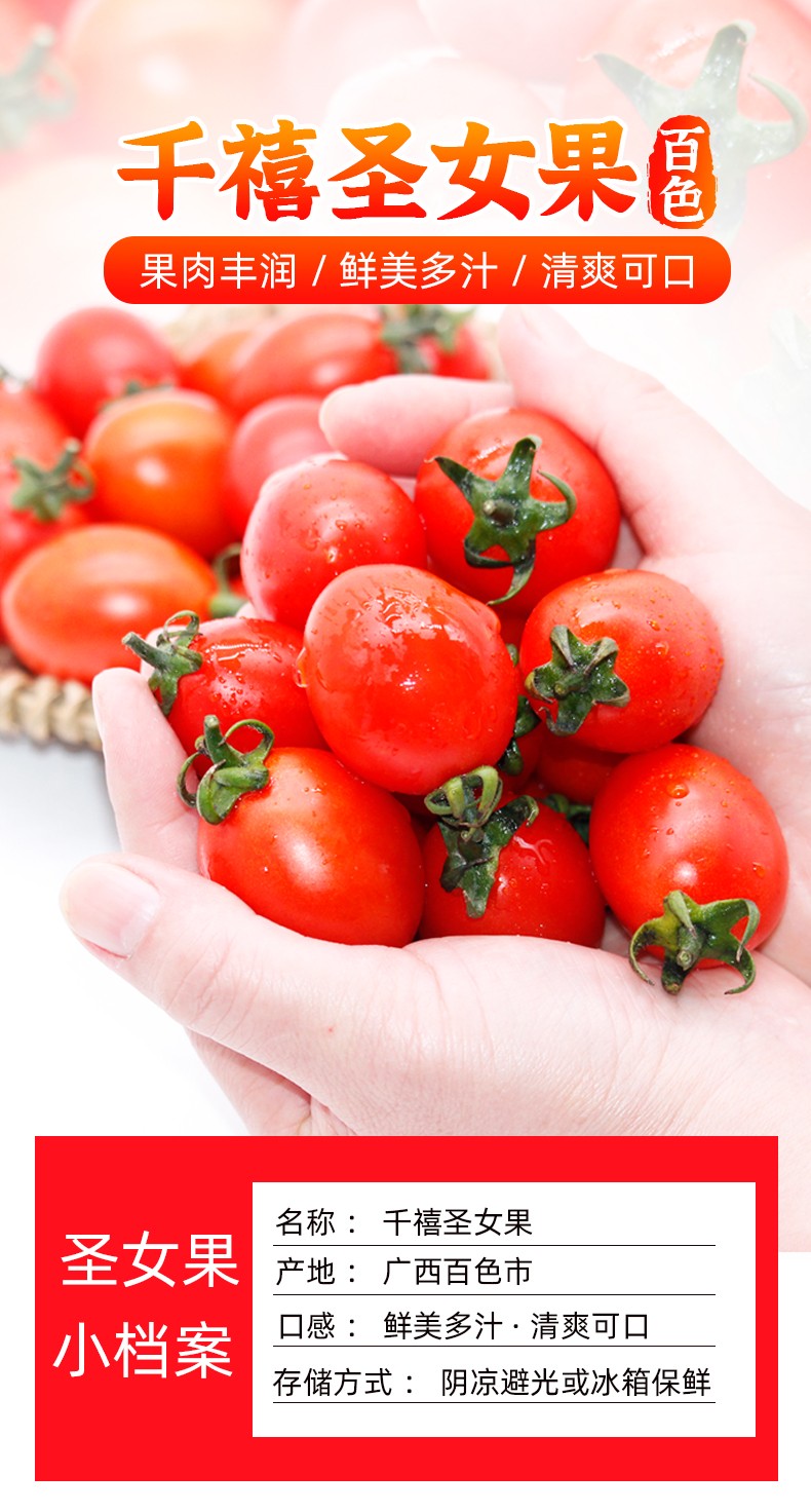 广西百色圣女果 应季新鲜水果自然熟西红柿千禧小番茄春季上新 严选3