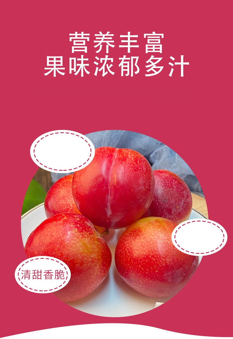 澳洲进口珠宝李大李子新鲜孕妇水果脆李红布林恐龙蛋精选5斤家庭装