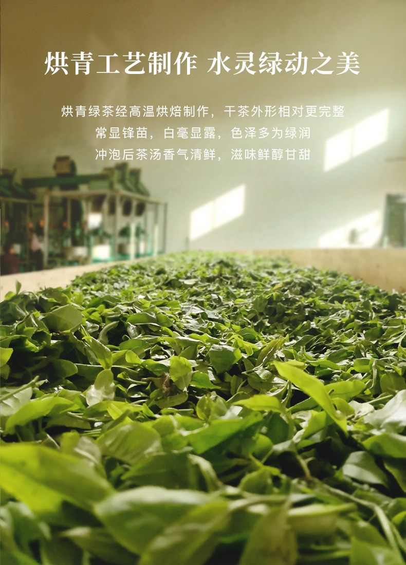 八马茶业 早春新鲜绿茶 茶叶 袋装200g 装200g【图片 价格 品牌 报价