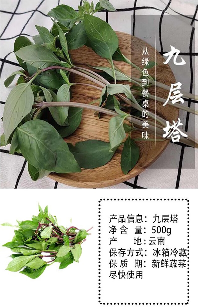 新鲜九层塔叶食用叶金不换三杯鸡冬阴功食材香料500g