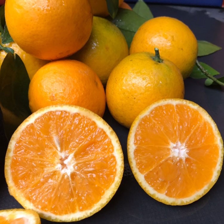青樱红荔精选大果广西桂林高山夏橙脐橙酸甜新鲜橙子水果孕妇应季现摘